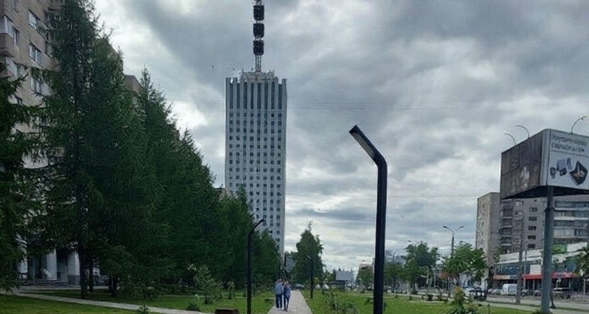 Архангелогородцы покажут питомцев в любимых местах города, а автор лучшего фото получит календарь