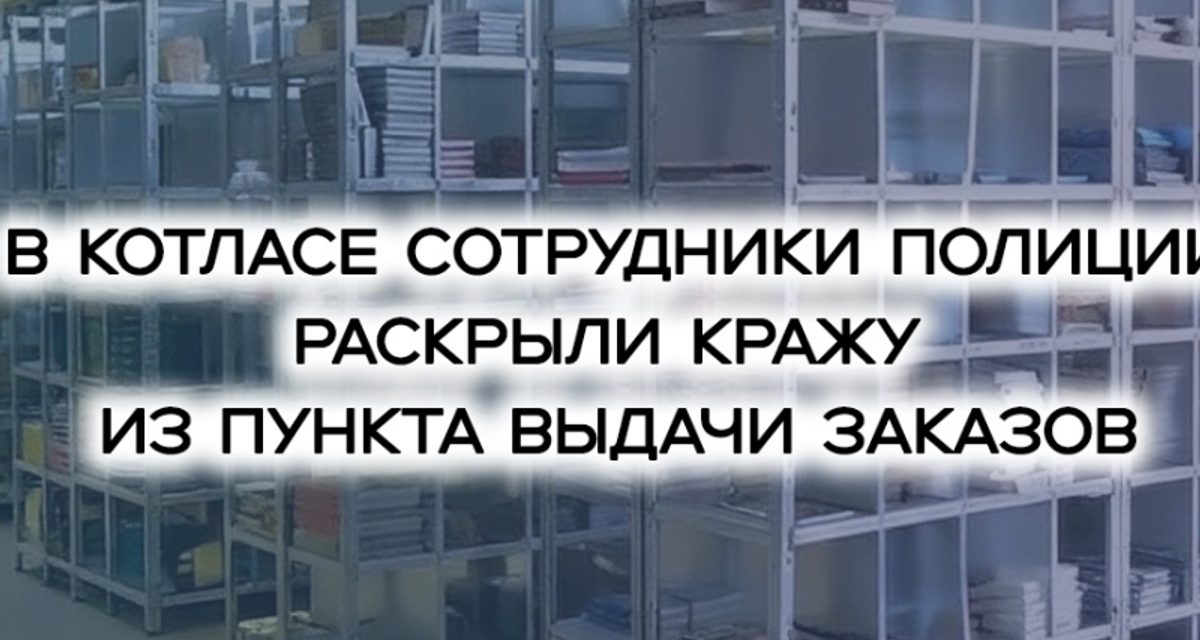 20-летняя котлашанка семь месяцев выдавала заказы маркетплейса за отказные и забирала их домой