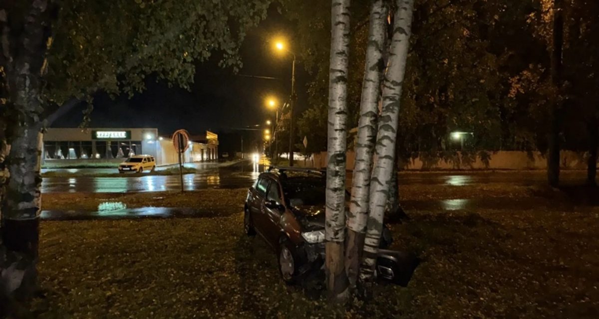 Водитель ночью врезался в дерево в Северодвинске, пострадала 12-летняя пассажирка